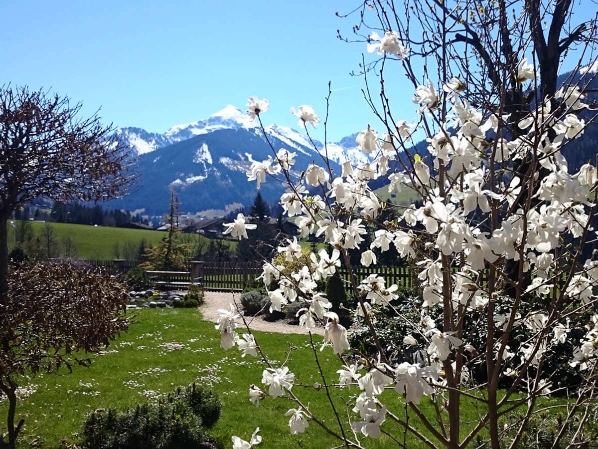 Frühling im Alpbachtal