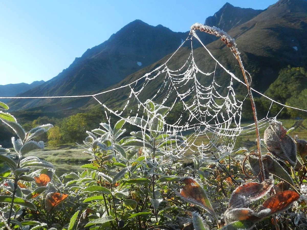 Urlaub in Tirol Altweibersommer