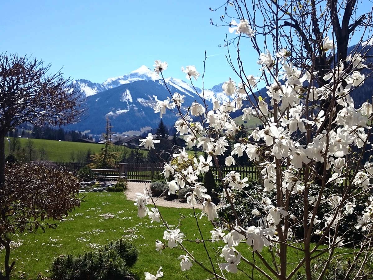 Frühling Alpbacher Hof