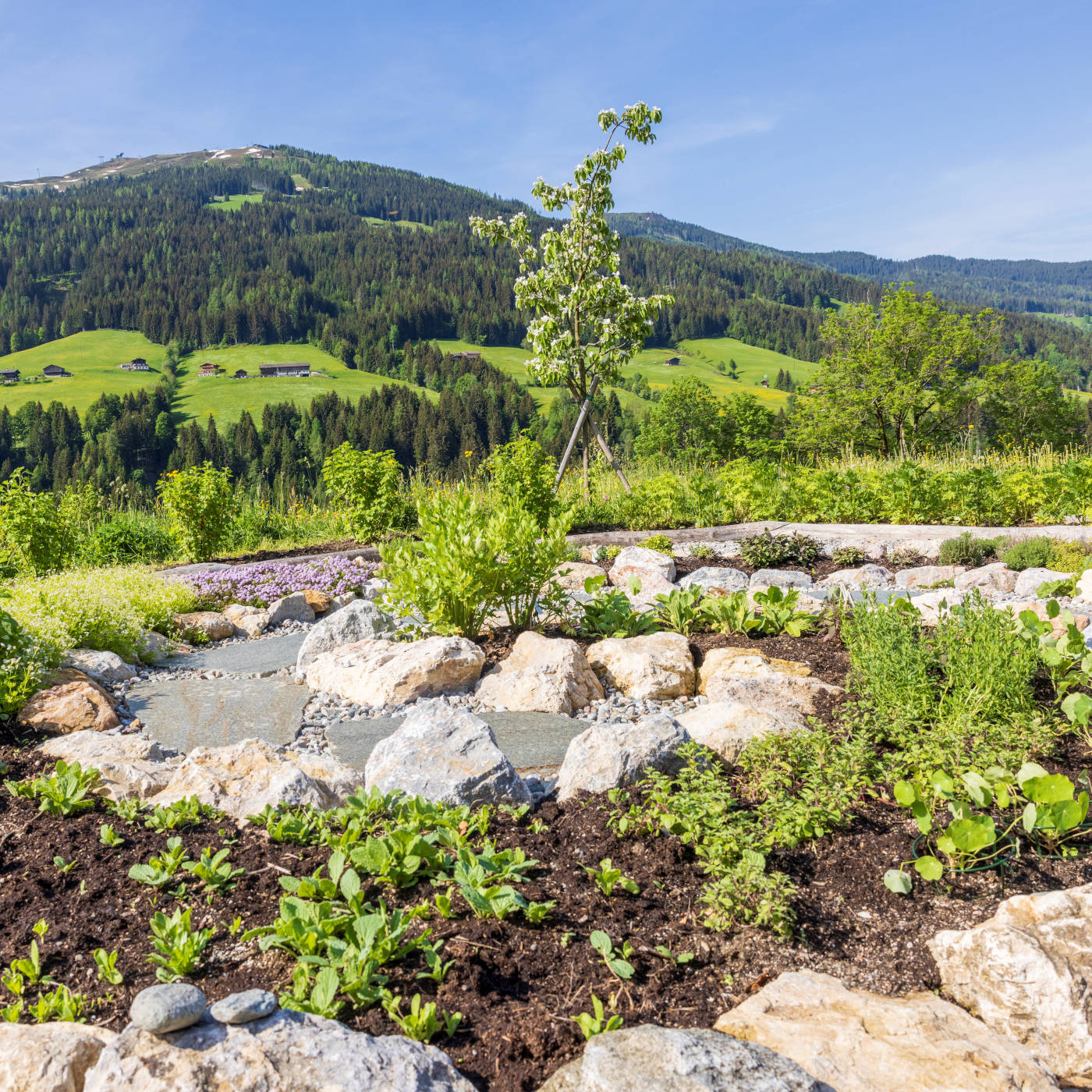 Kräuterschnecke Alpbacher Hof