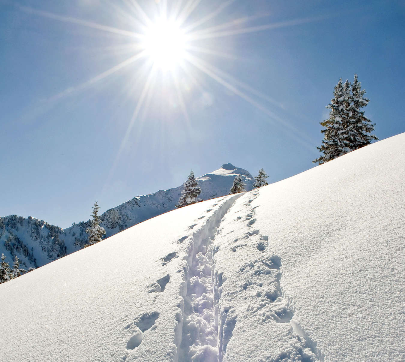 Skitouren gehen Alpbacher Hof