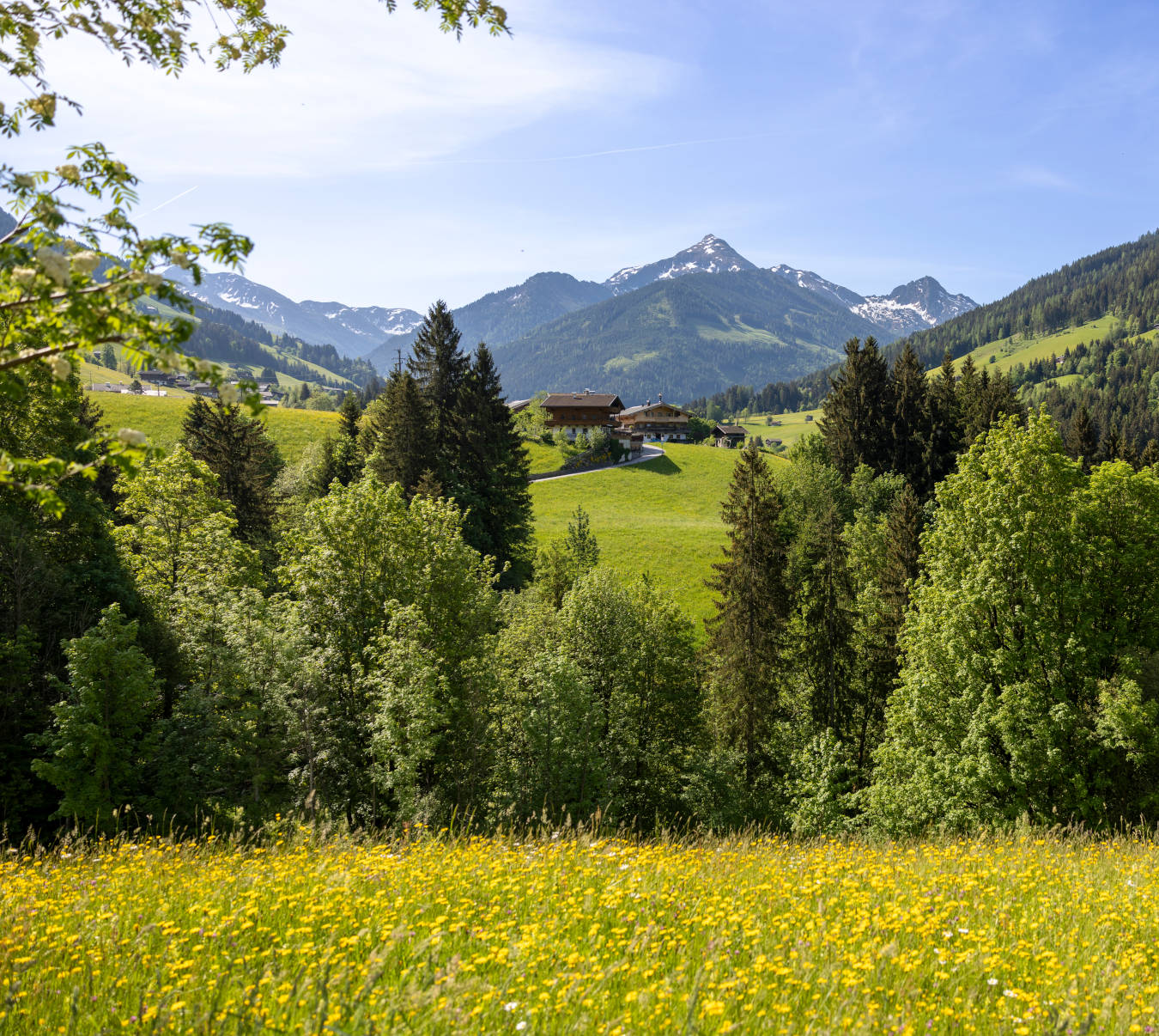 Sommer in Alpbach