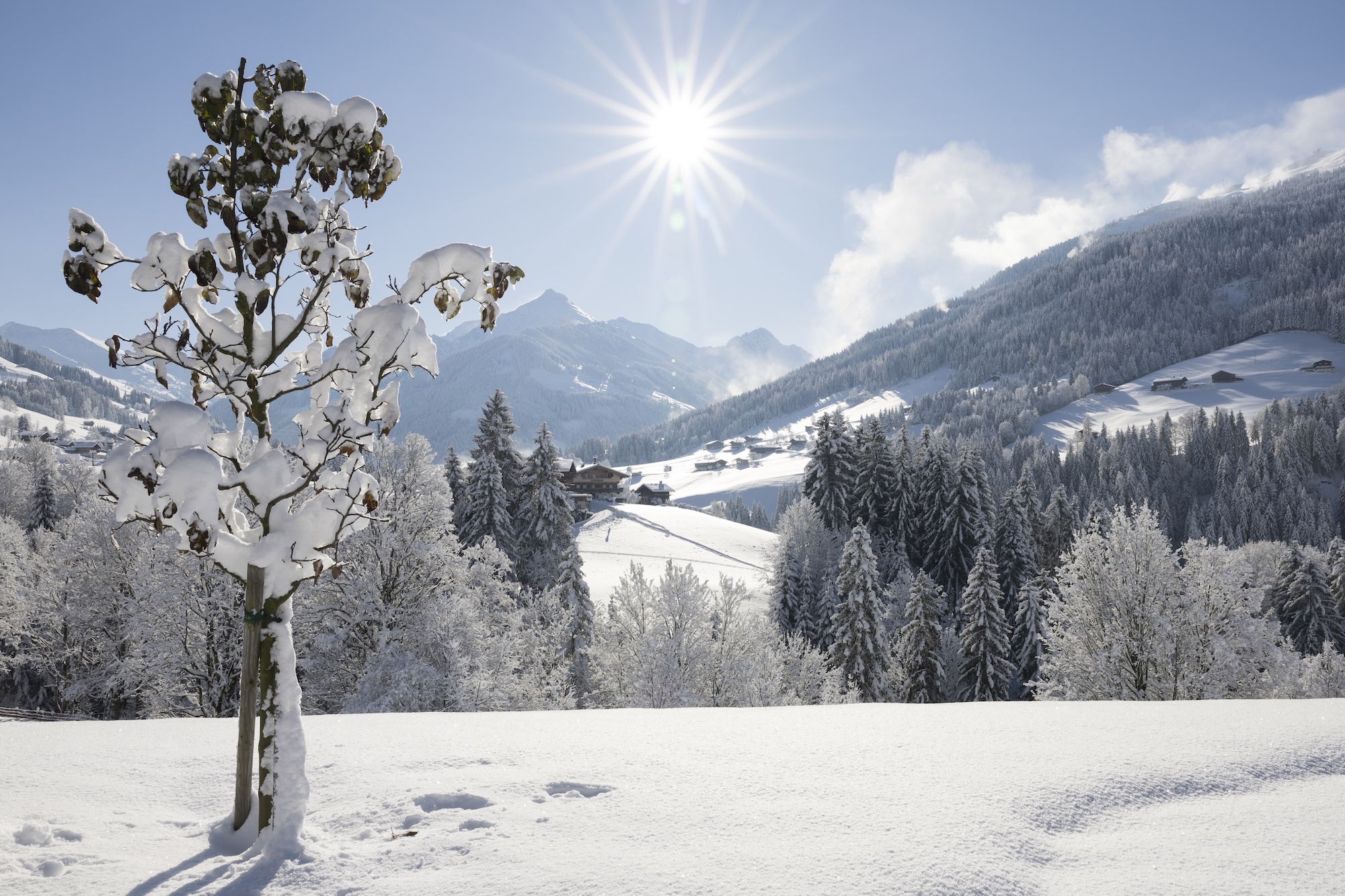 Ausblick Wellnesshotel Alpbacherhof ins verschneite Tal